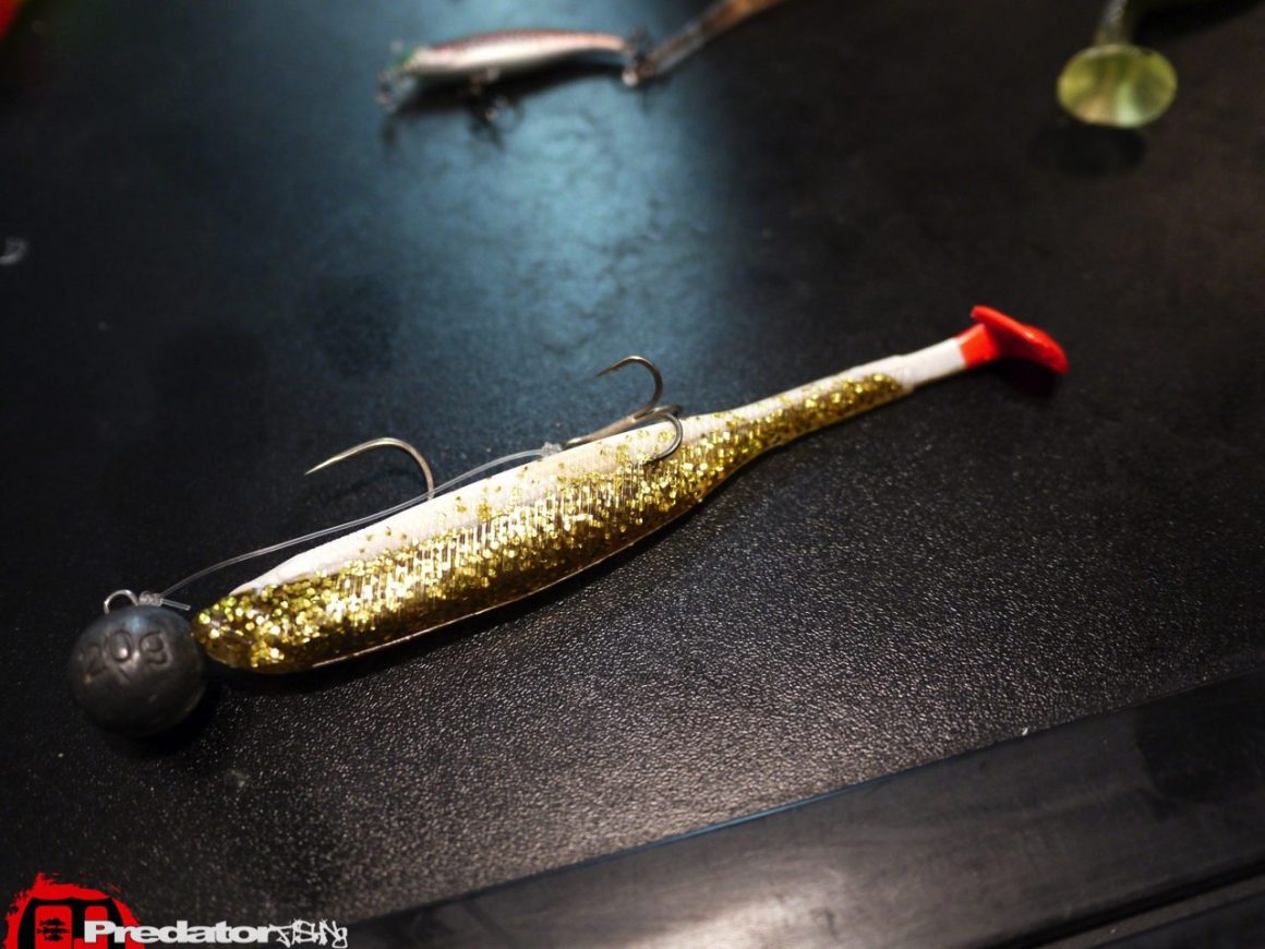 Dietmar Isaiasch mit FOX Rage in Österreich