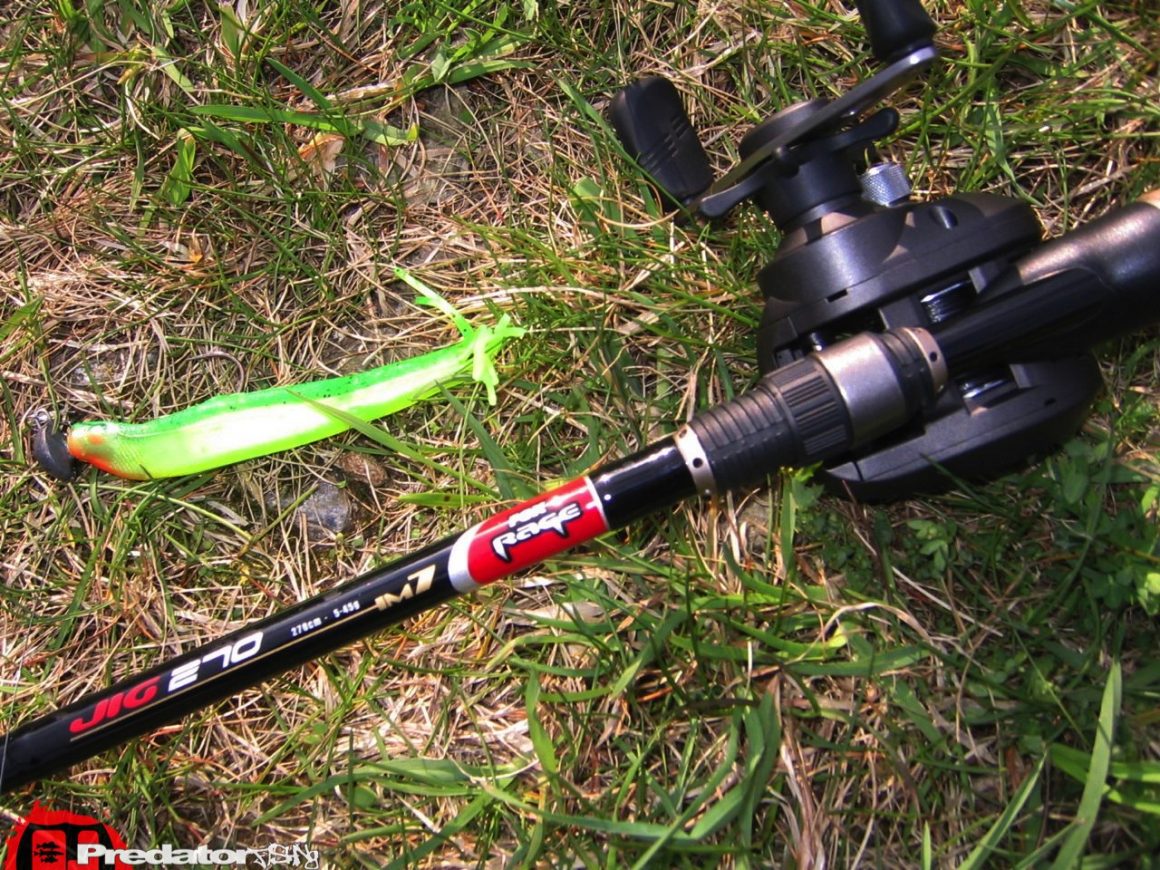 Hecht Zander Barsch am Predator Lake