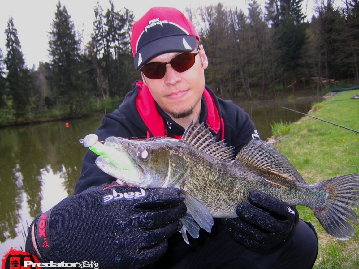 Hecht Zander Barsch am Predator Lake
