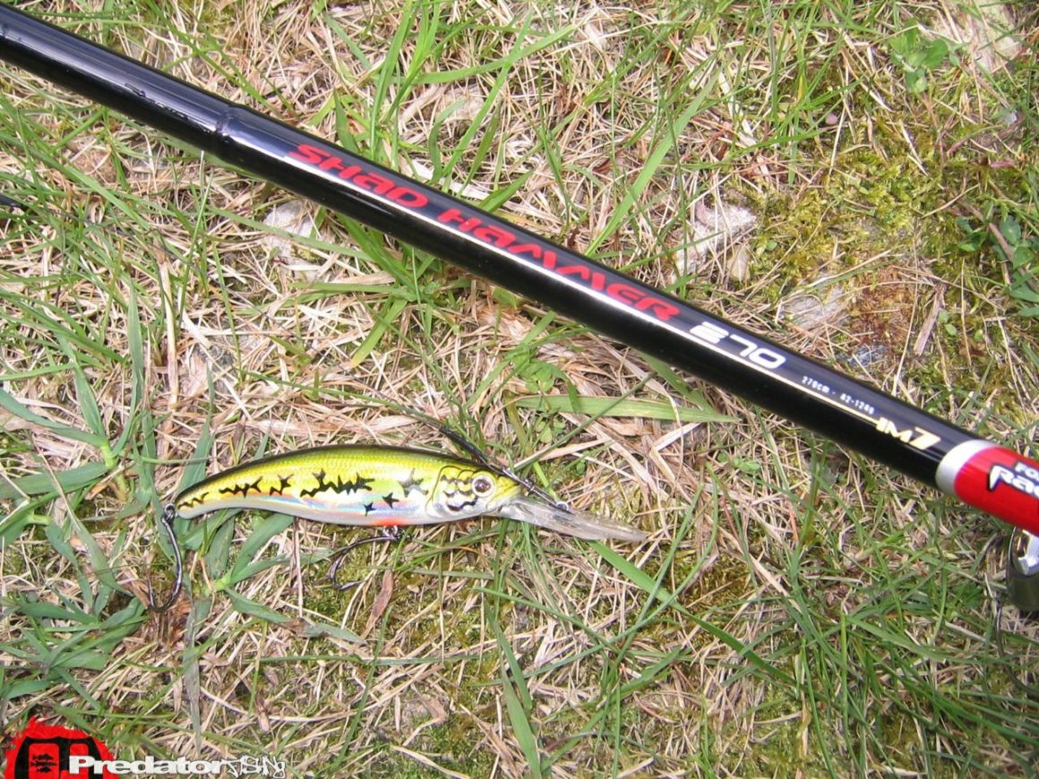 Hecht Zander Barsch am Predator Lake