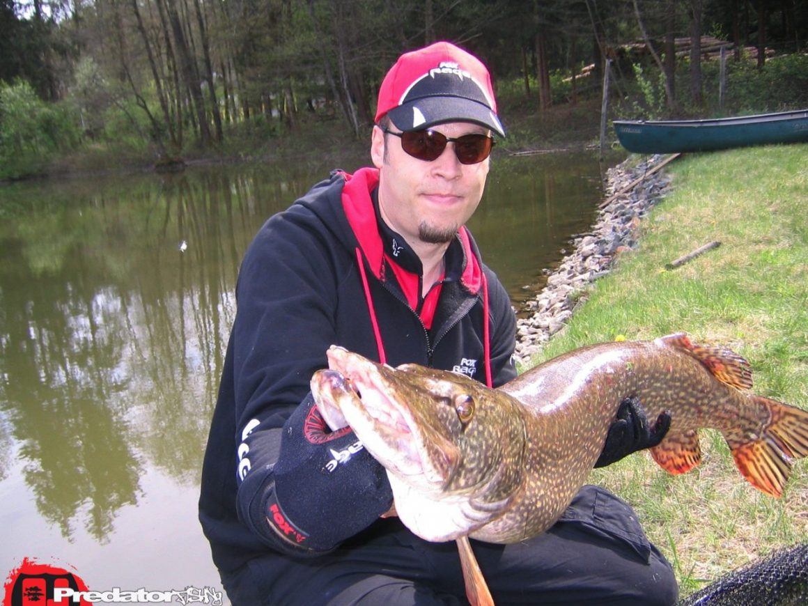 Hecht Zander Barsch am Predator Lake