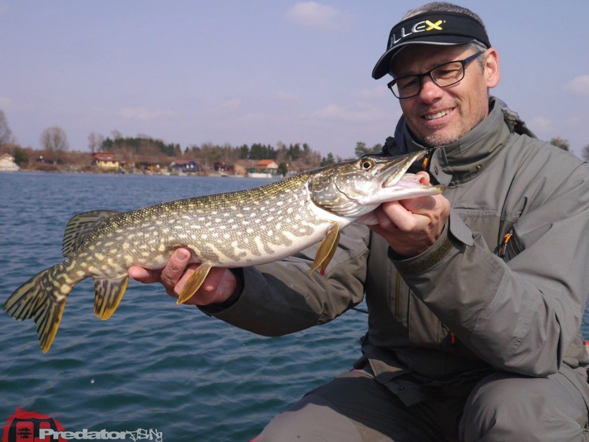 Hecht Zander Barsch am Schotterteich