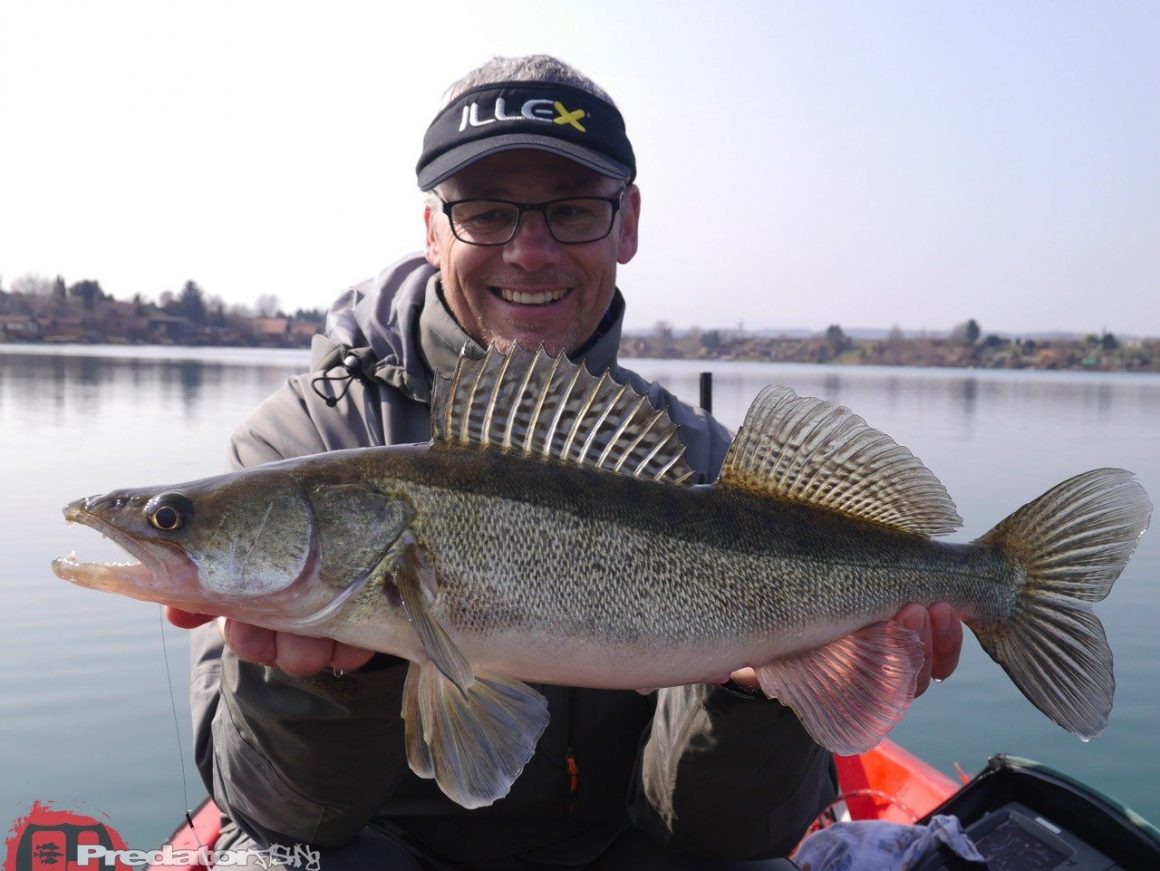 Hecht Zander Barsch am Schotterteich