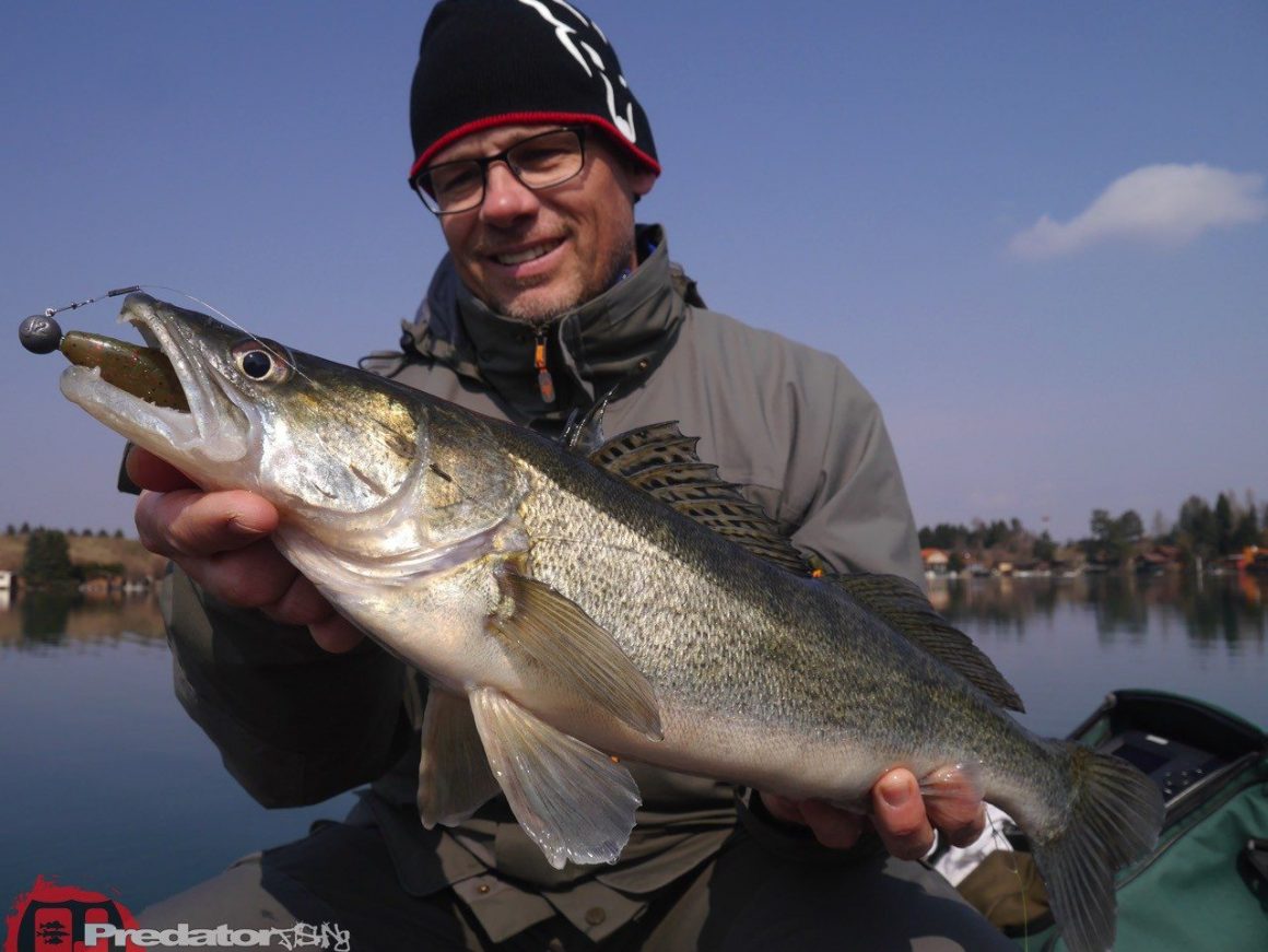 Hecht Zander Barsch am Schotterteich