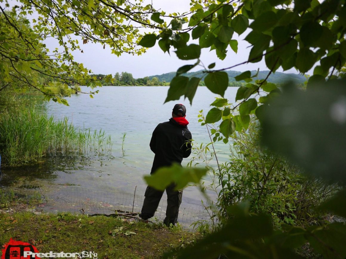 Hecht bei Regen mit FOX Rage
