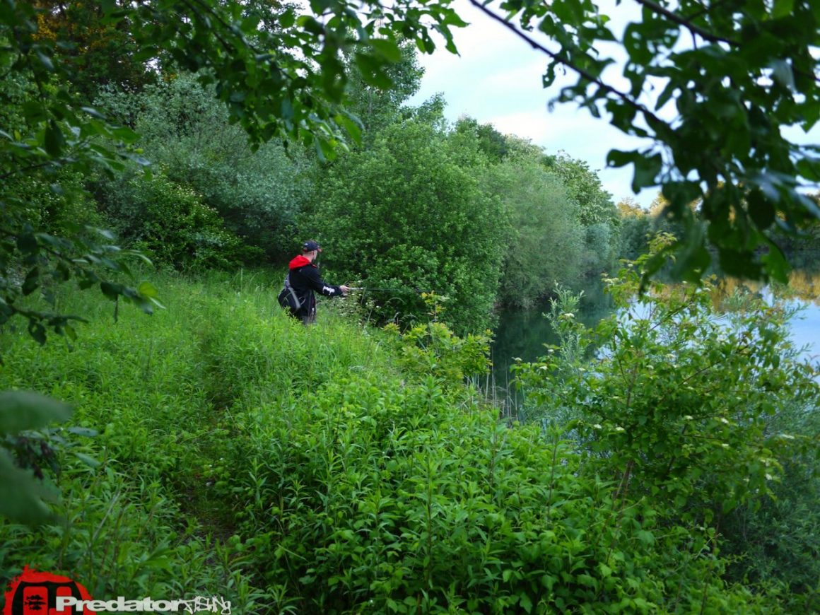 Hecht bei Regen mit FOX Rage
