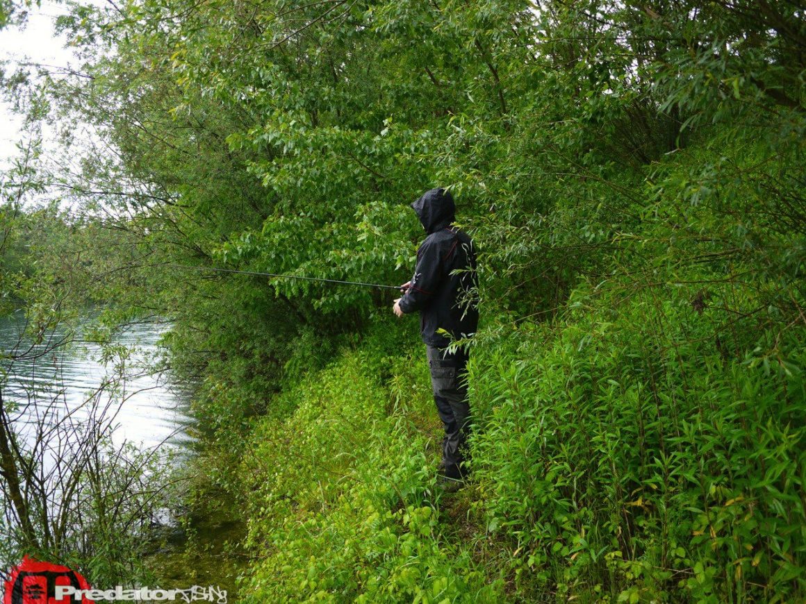 Hecht bei Regen mit FOX Rage