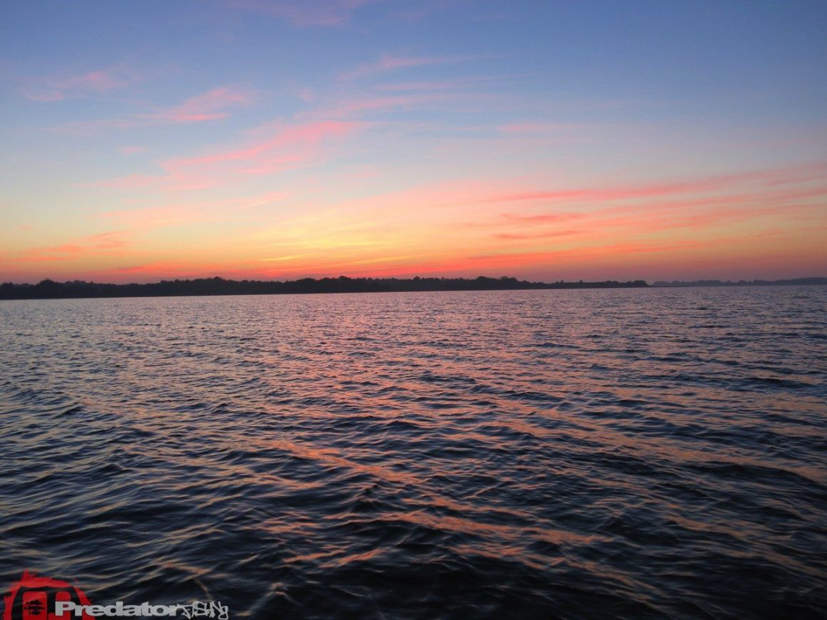 Herbst und Bodden mit Hecht, Zander und Barsch
