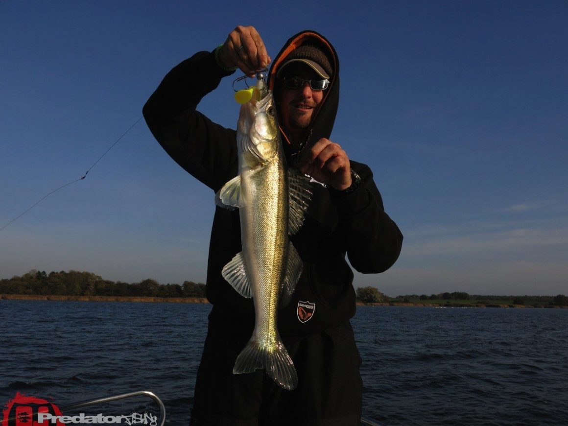 Herbst und Bodden mit Hecht, Zander und Barsch