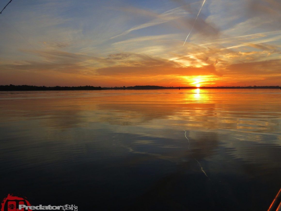 Herbst und Bodden mit Hecht, Zander und Barsch