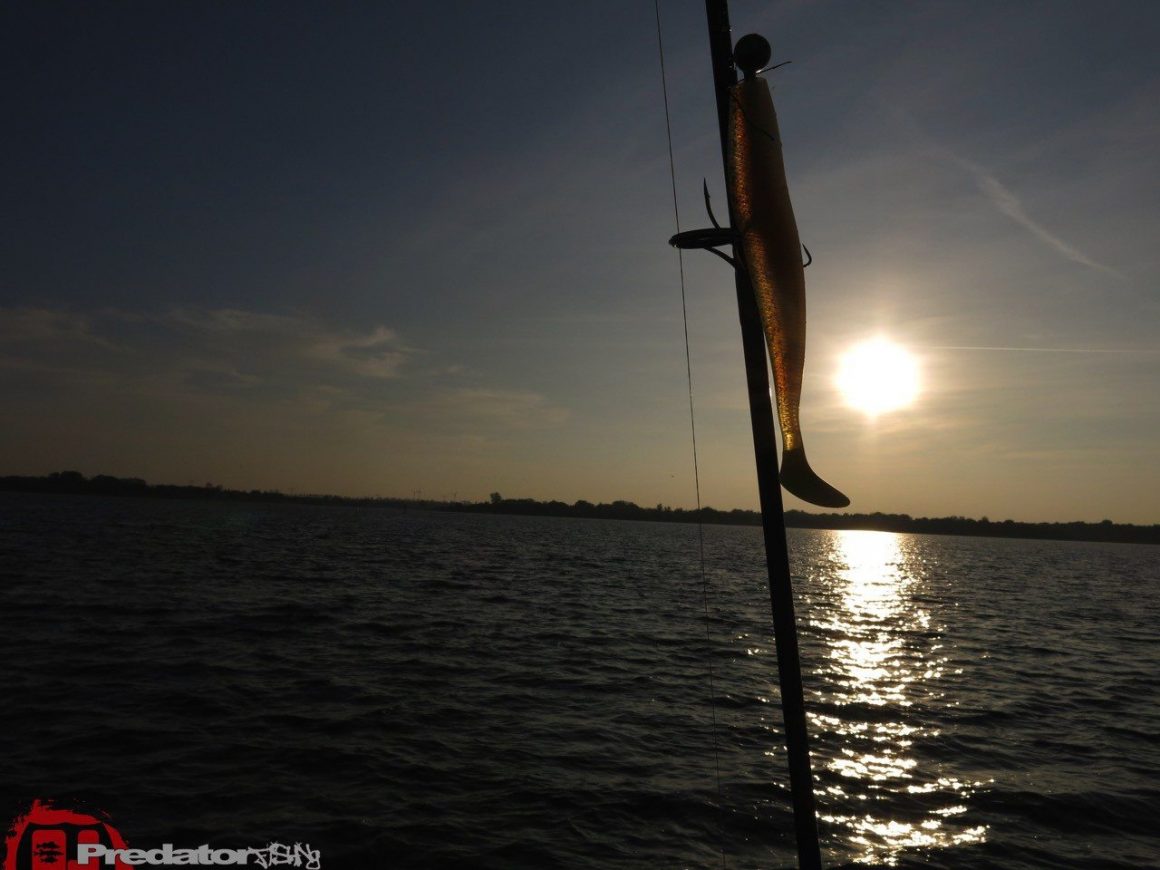 Herbst und Bodden mit Hecht, Zander und Barsch