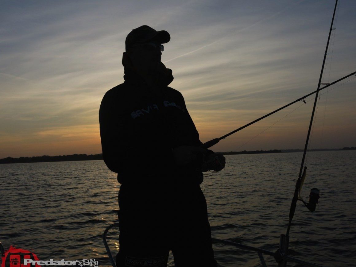 Herbst und Bodden mit Hecht, Zander und Barsch