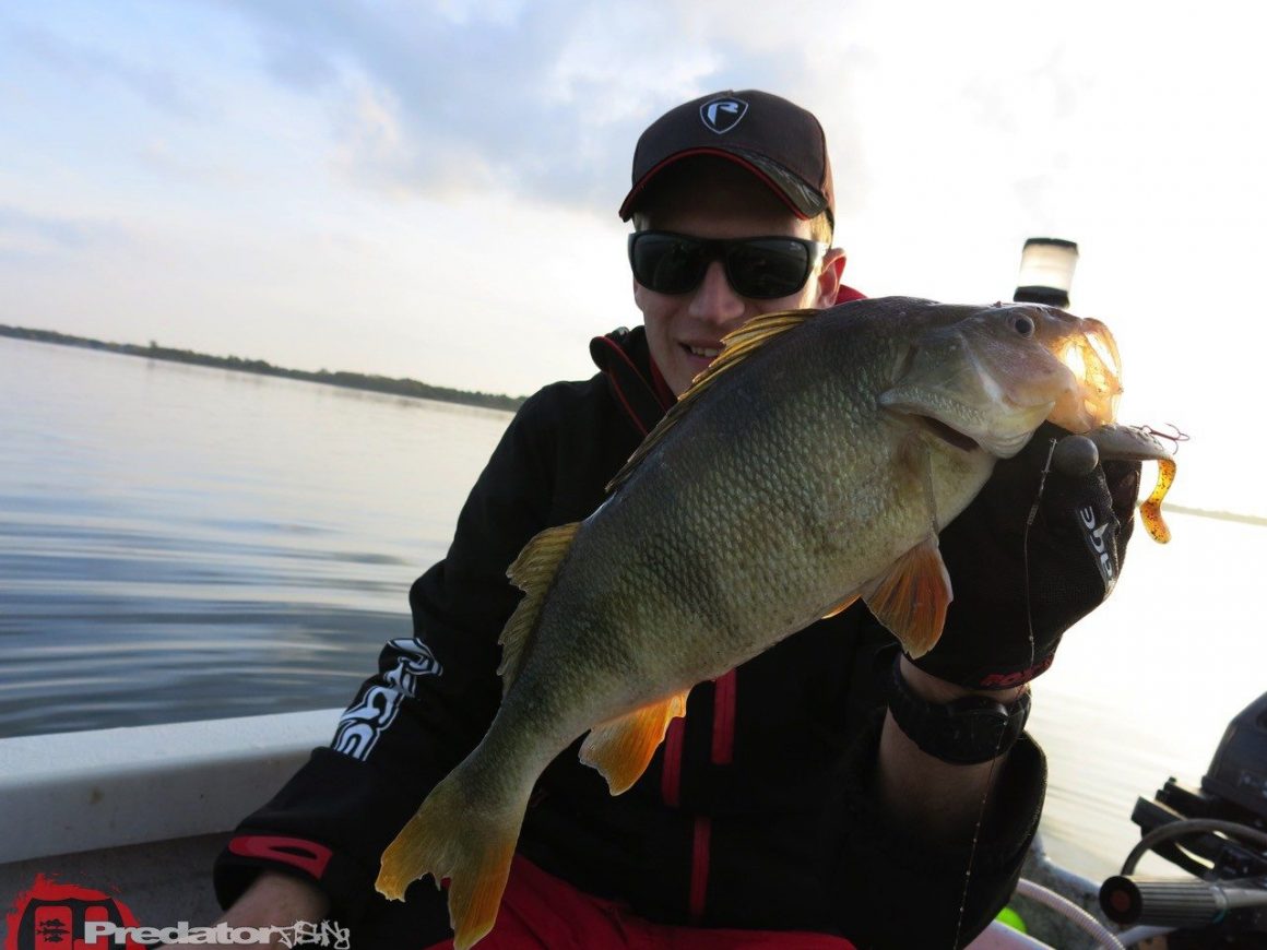 Herbst und Bodden mit Hecht, Zander und Barsch