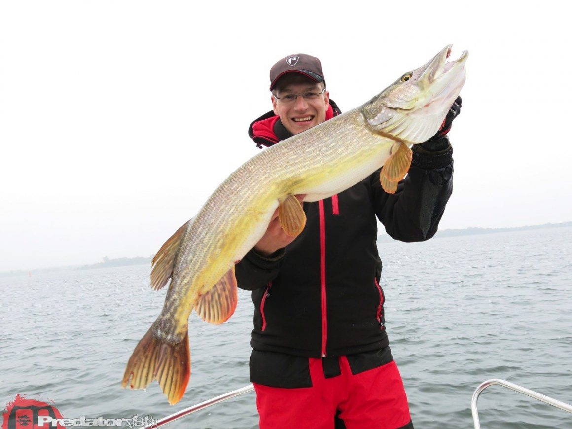 Herbst und Bodden mit Hecht, Zander und Barsch