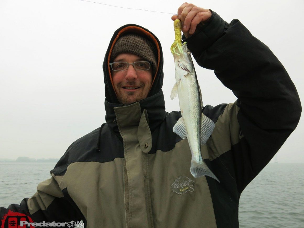 Herbst und Bodden mit Hecht, Zander und Barsch