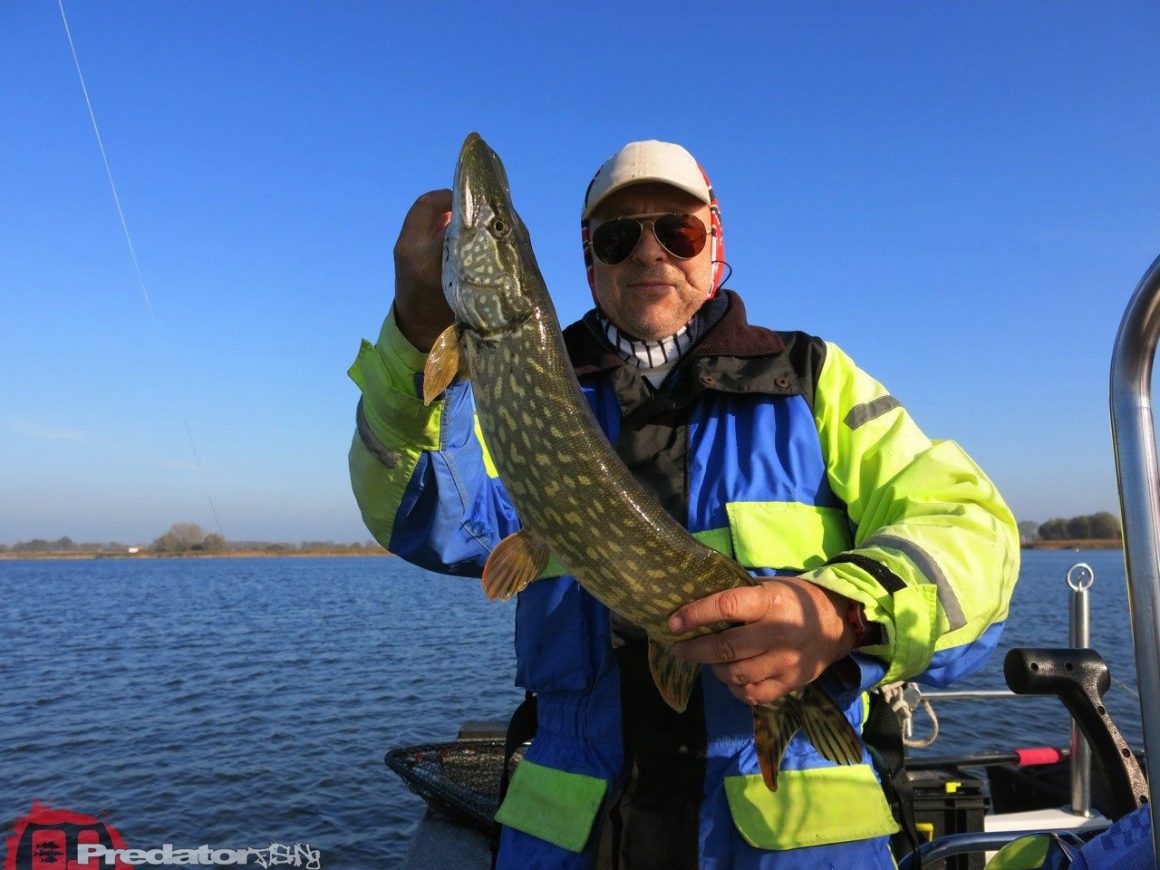 Herbst und Bodden mit Hecht, Zander und Barsch