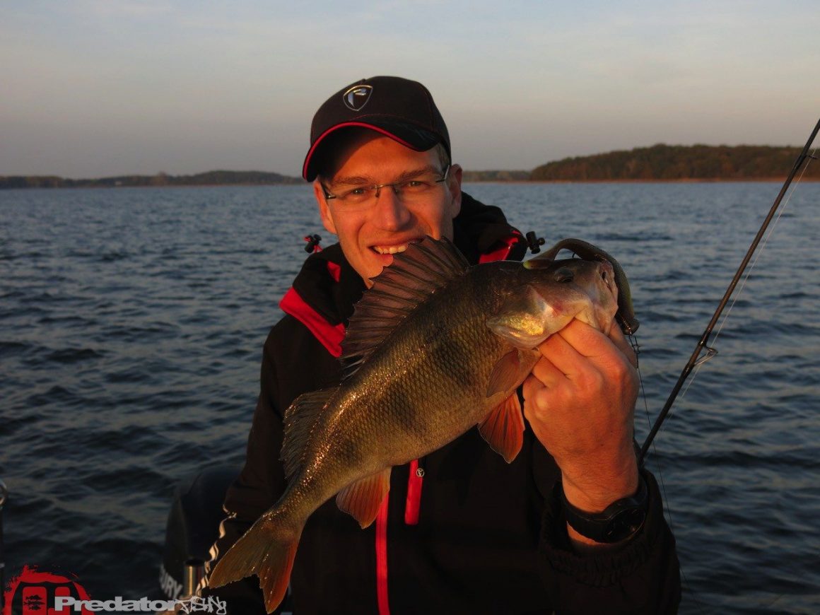 Herbst und Bodden mit Hecht, Zander und Barsch