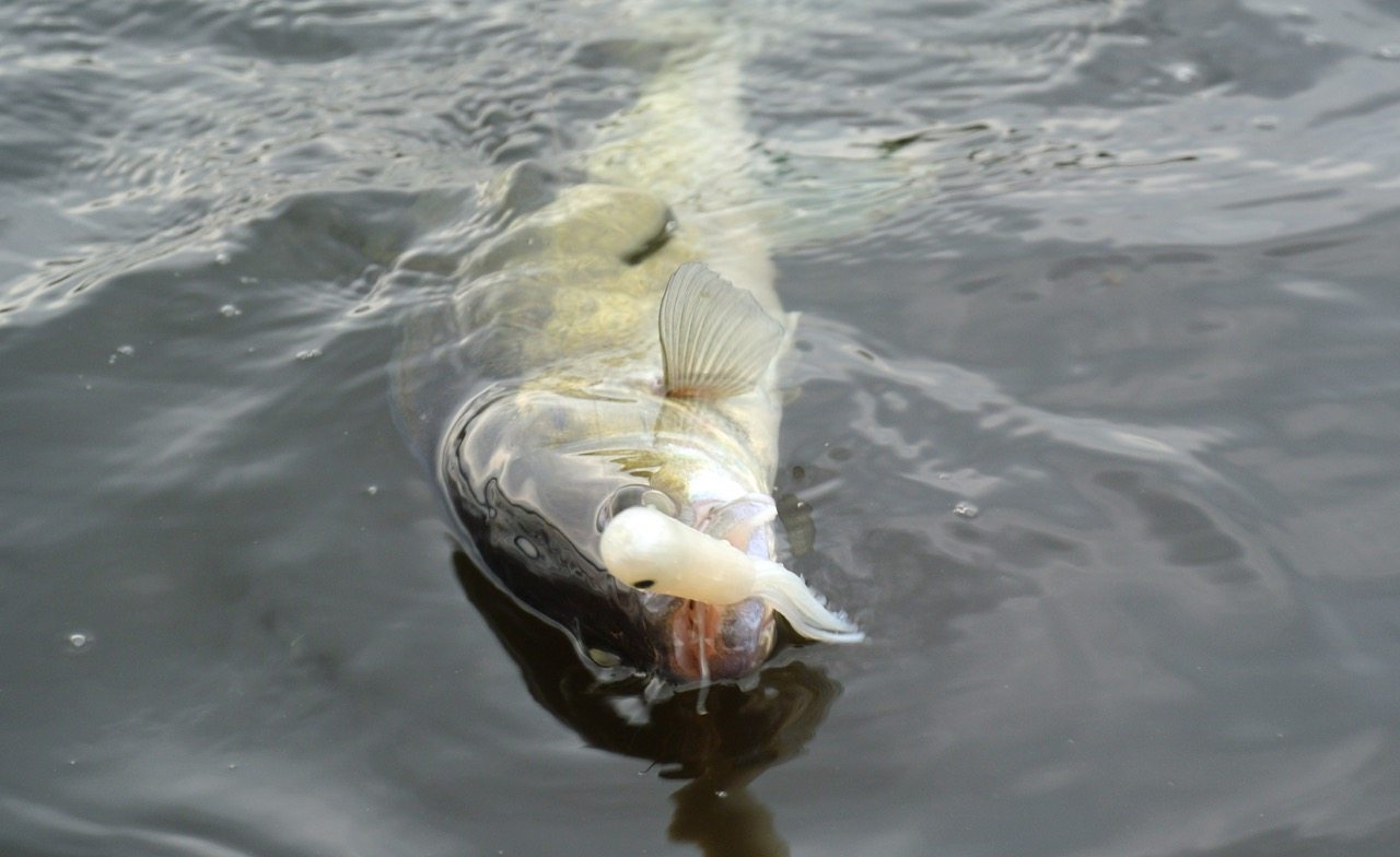 Infos zur Tough Anglers Tour 2016 Teil 1