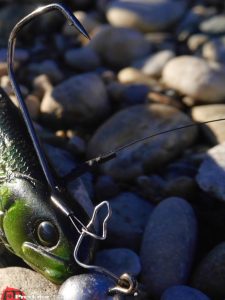 Kapitaler meterzwanzig Hecht auf Westin Shad Teez Wow Perch Westinfishing