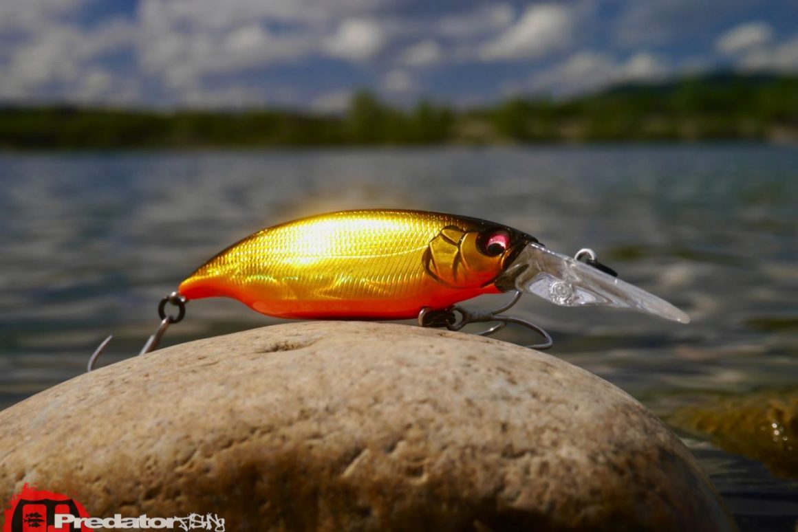 Megabass ELBO Dive - Cranking Shiner