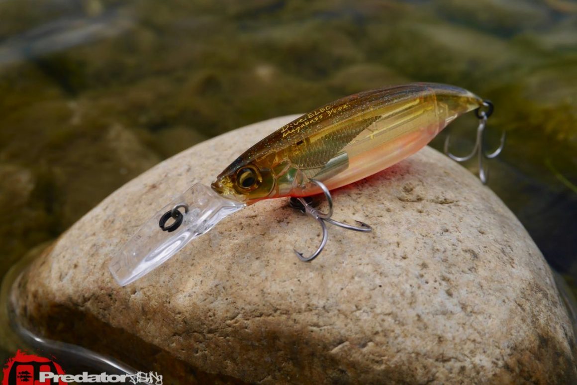 Megabass ELBO Dive - Cranking Shiner