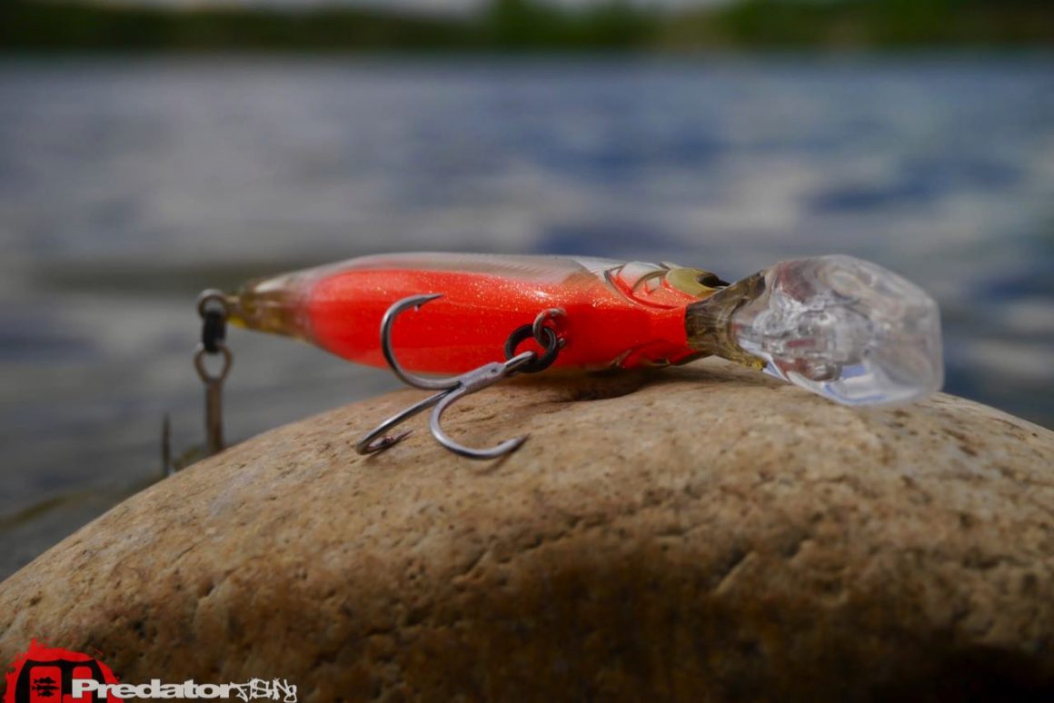 Megabass ELBO Dive - Cranking Shiner
