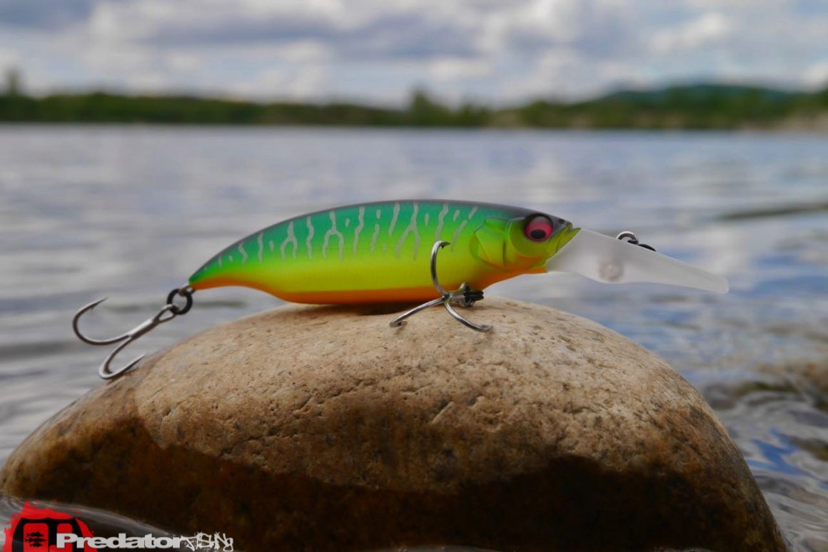 Megabass ELBO Dive - Cranking Shiner