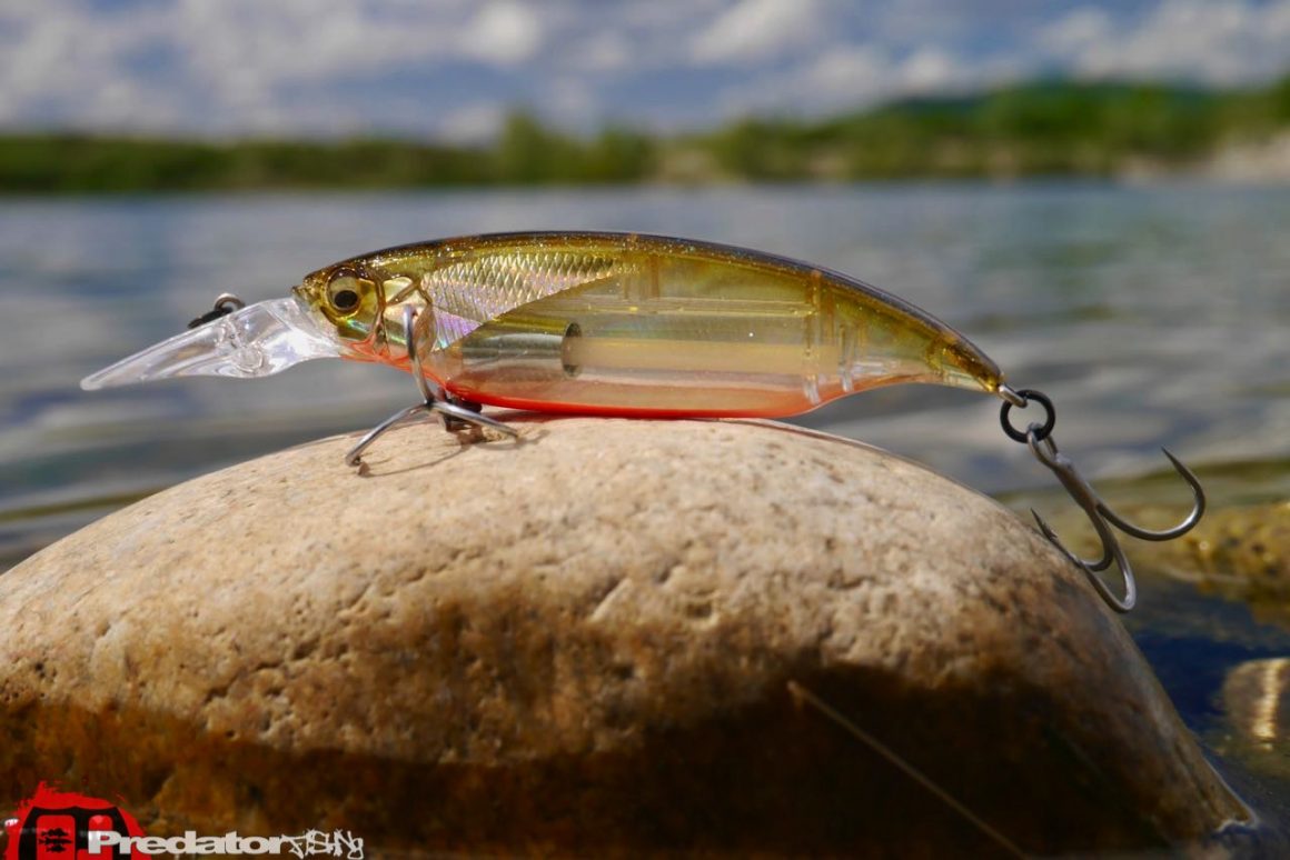 Megabass ELBO Dive - Cranking Shiner