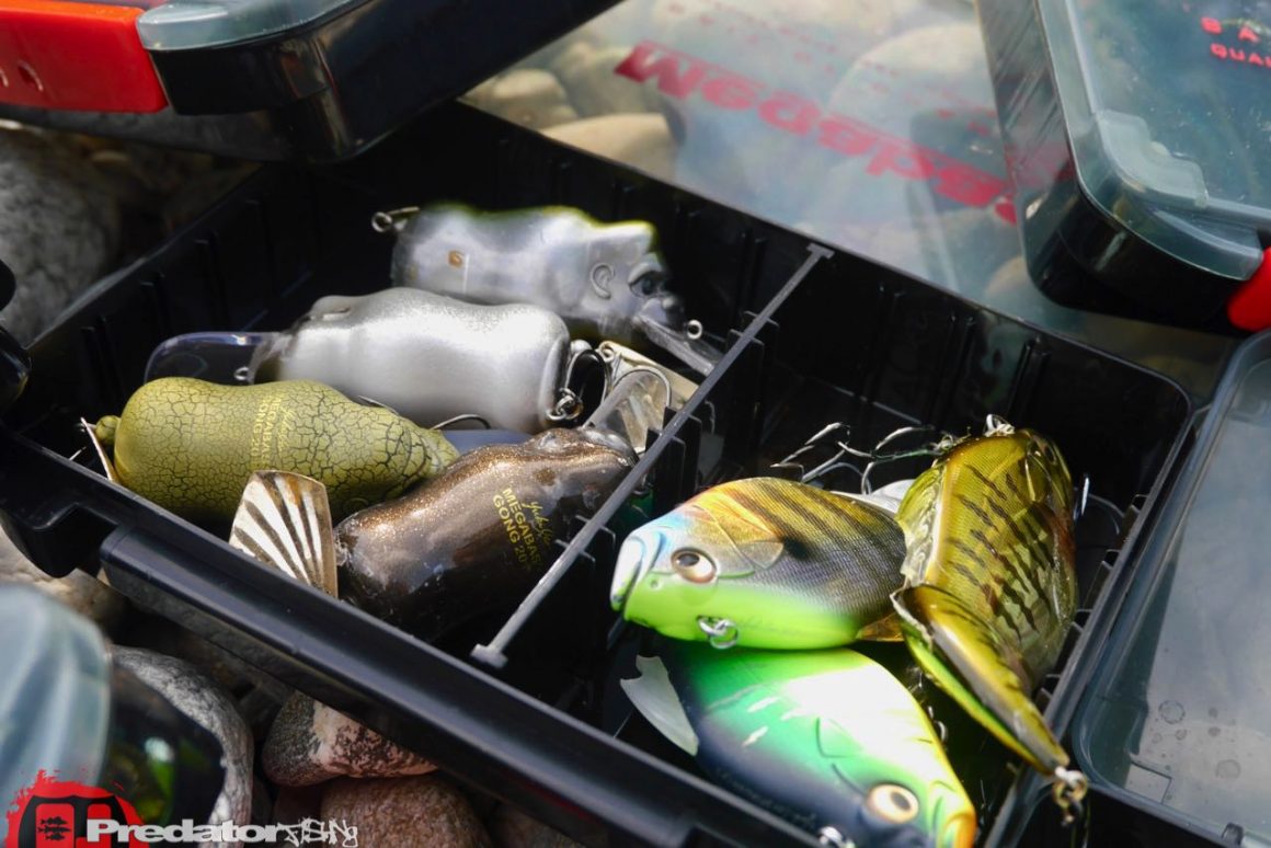 Megabass Lunker Lunch Box - Köderbox