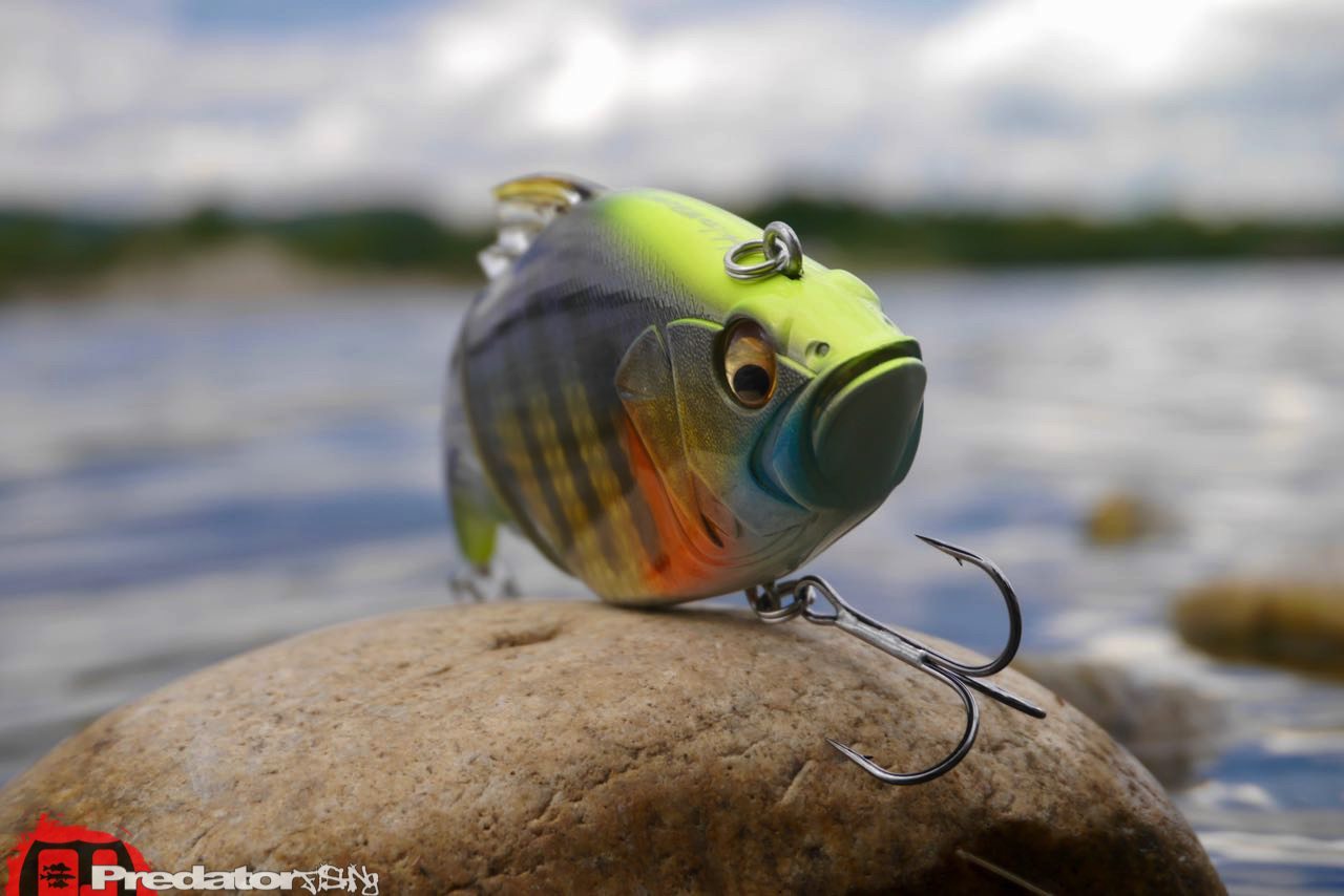 Megabass VATALION Swimbait predatorfishing