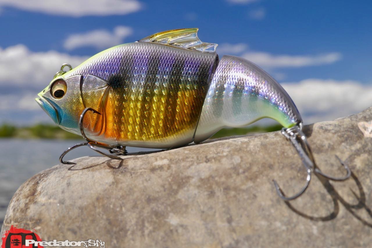 Megabass VATALION Swimbait predatorfishing