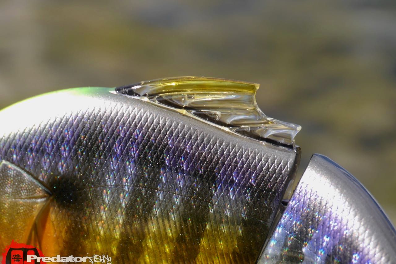 Megabass VATALION Swimbait predatorfishing