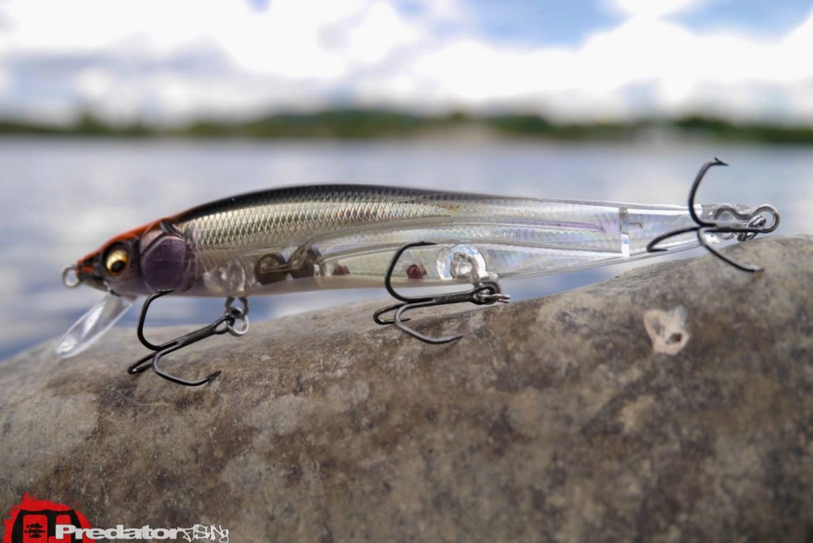 Megabass limited edition VISION 110 RACING signal racing Shad predatorfishing