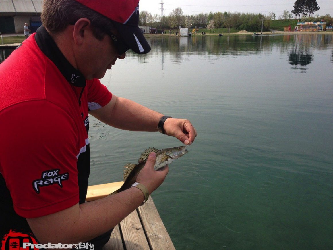 Mit FOX Rage auf der Austrian Fishing Show 2014