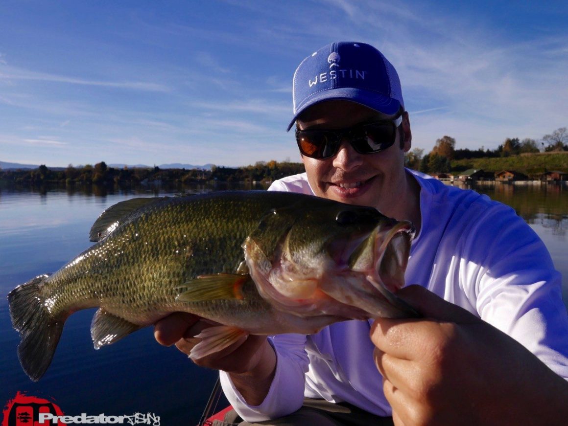 Mit Hecht, Zander, Schwarzbarsch und Flussbarsch im Herbst