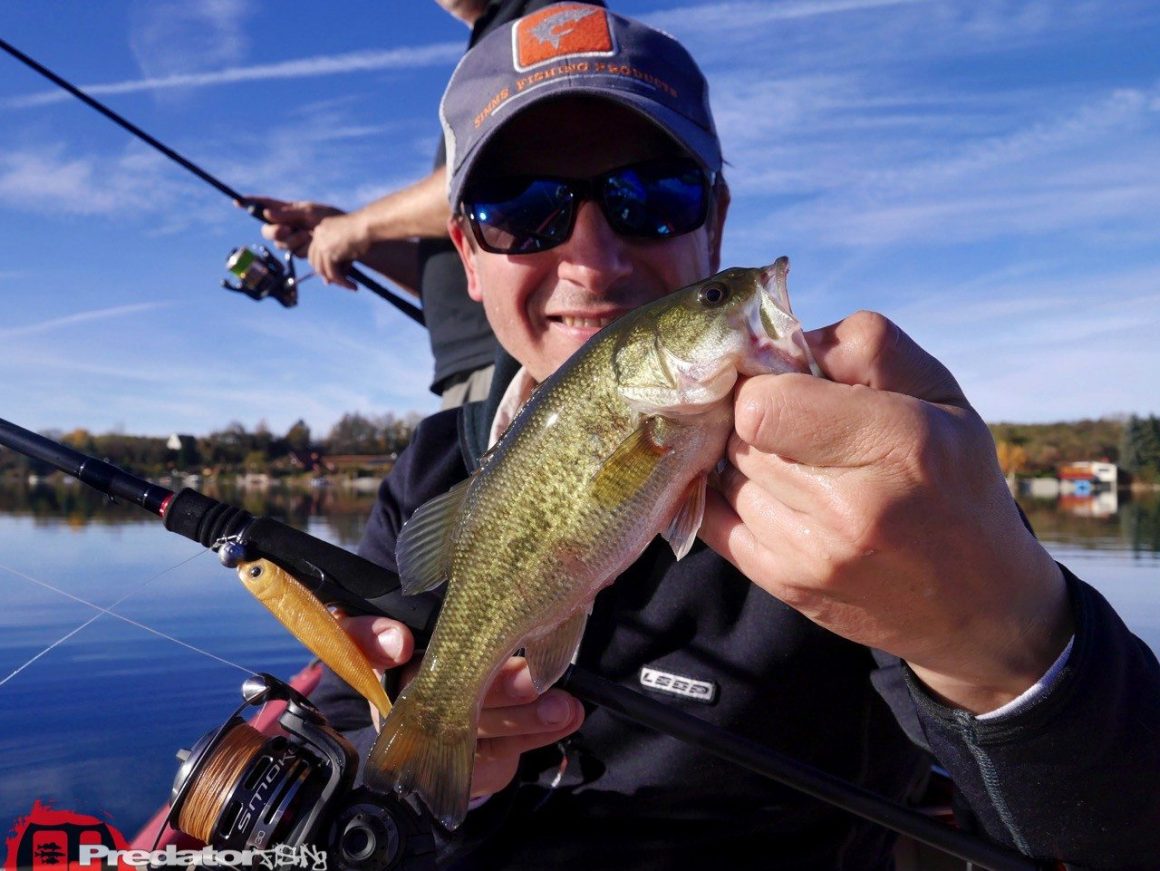 Mit Hecht, Zander, Schwarzbarsch und Flussbarsch im Herbst