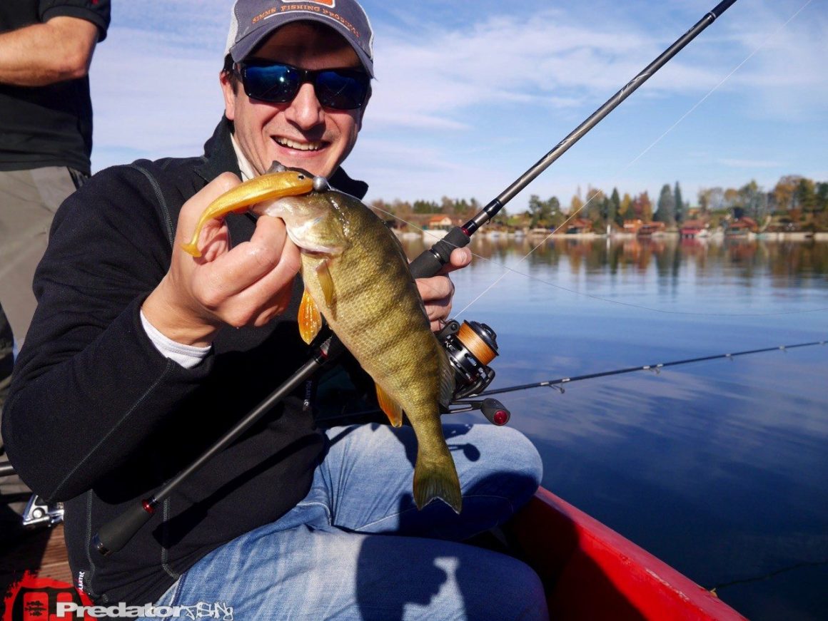 Mit Hecht, Zander, Schwarzbarsch und Flussbarsch im Herbst