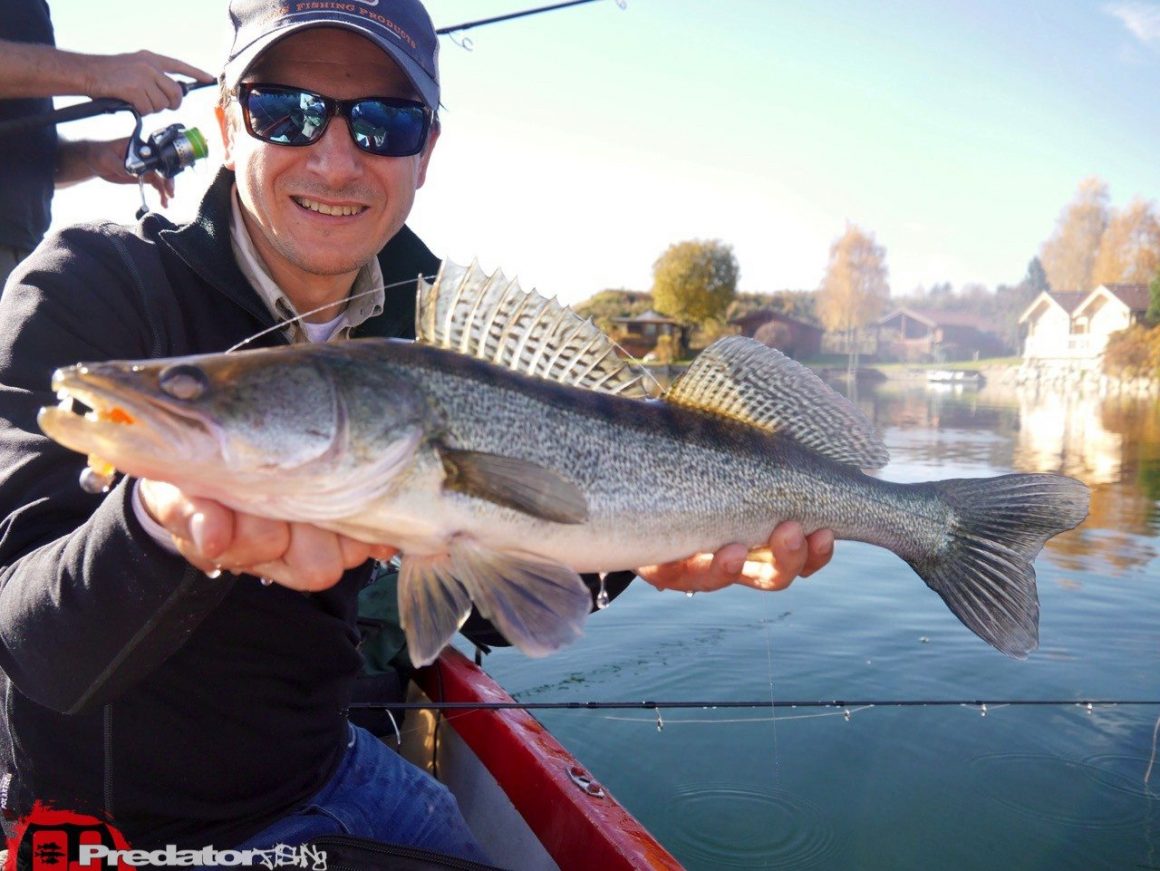 Mit Hecht, Zander, Schwarzbarsch und Flussbarsch im Herbst