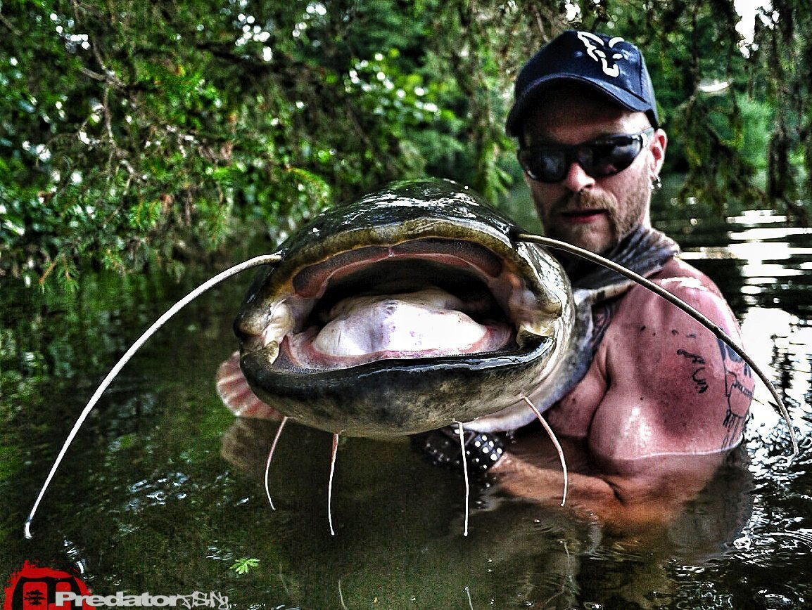 Mit dem Crank Stick II von FOX Rage auf ein Wels- Monster