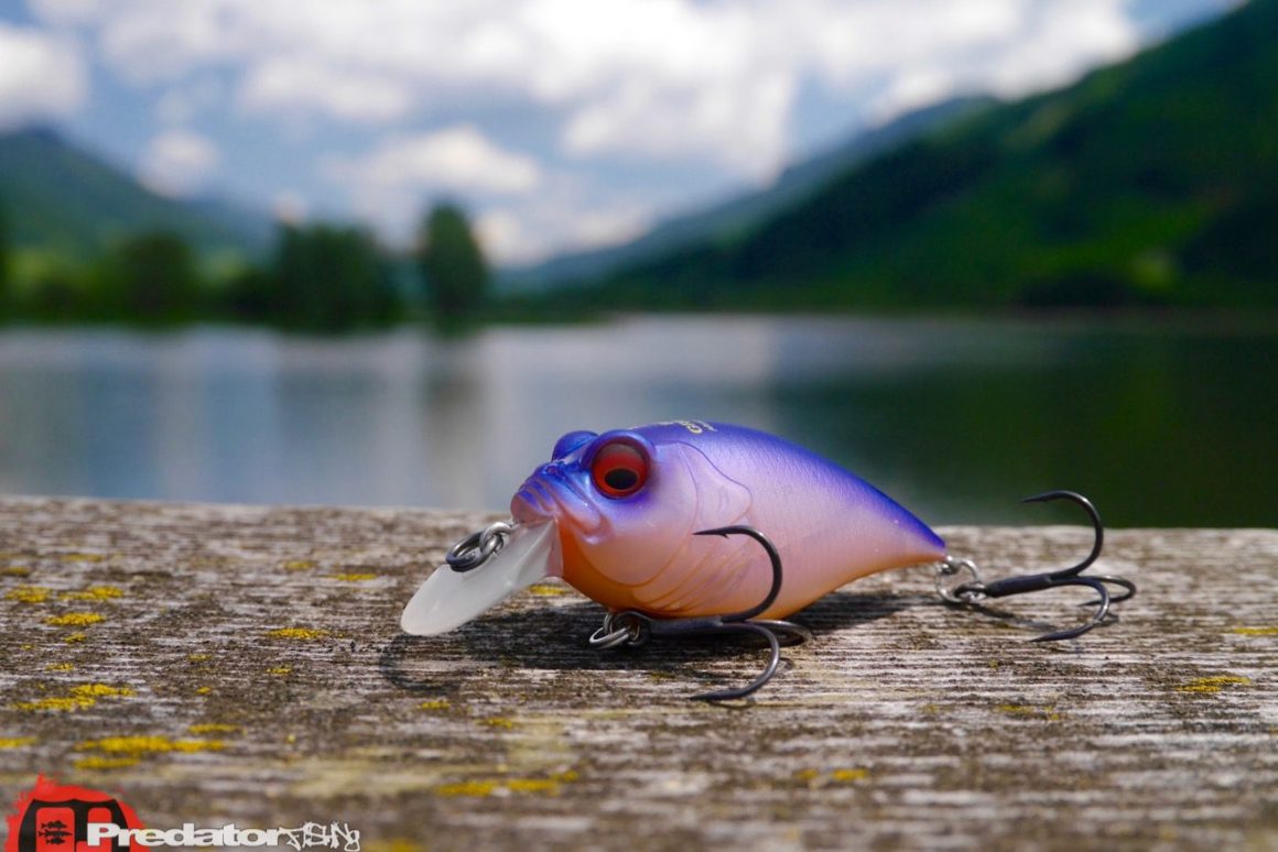 Mit dem Megabass Griffon 6cc Hi-Pitch erfolgreich auf Barsch