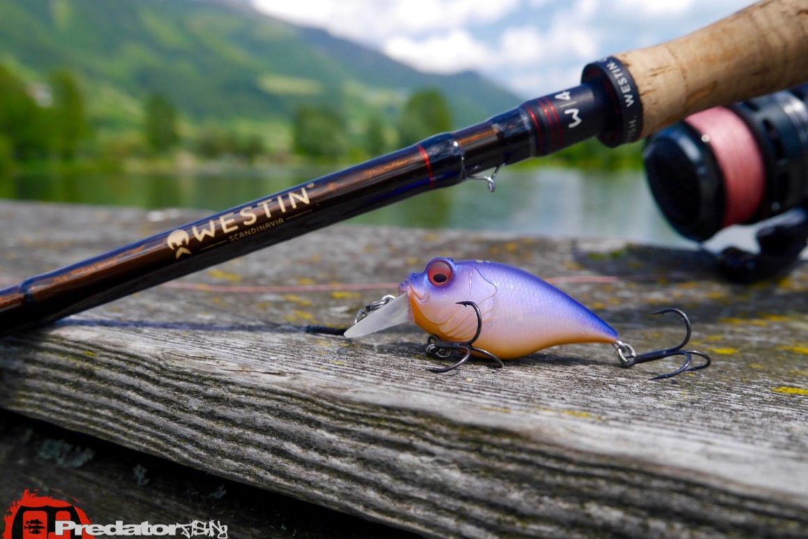 Mit dem Megabass Griffon 6cc Hi-Pitch erfolgreich auf Barsch