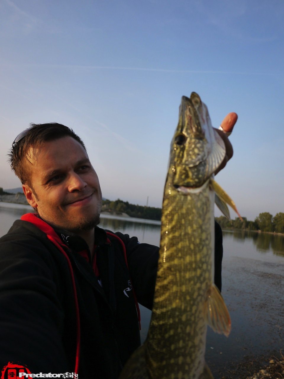 Myriophyllum-spicatum-auf-Hecht