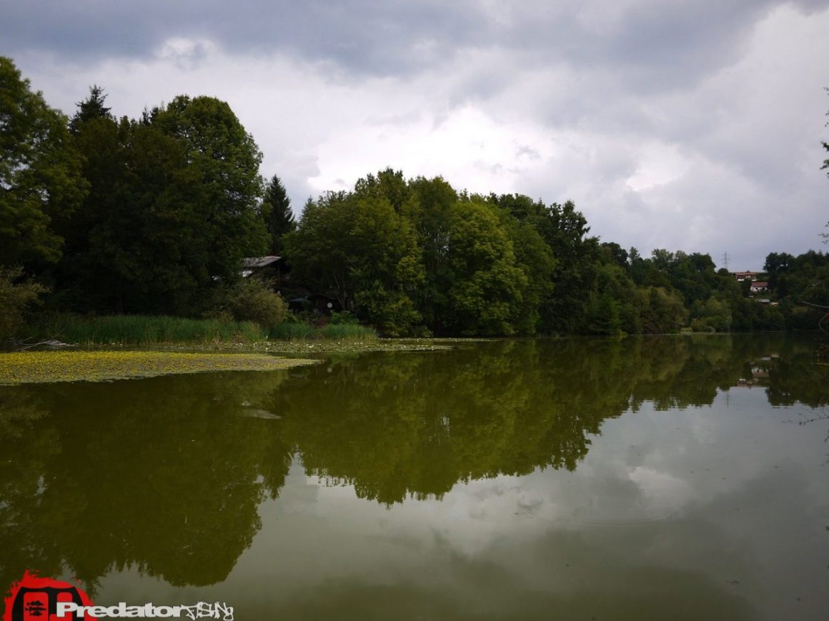 Neues Revier, am Völkermarkter Stausee auf Hecht