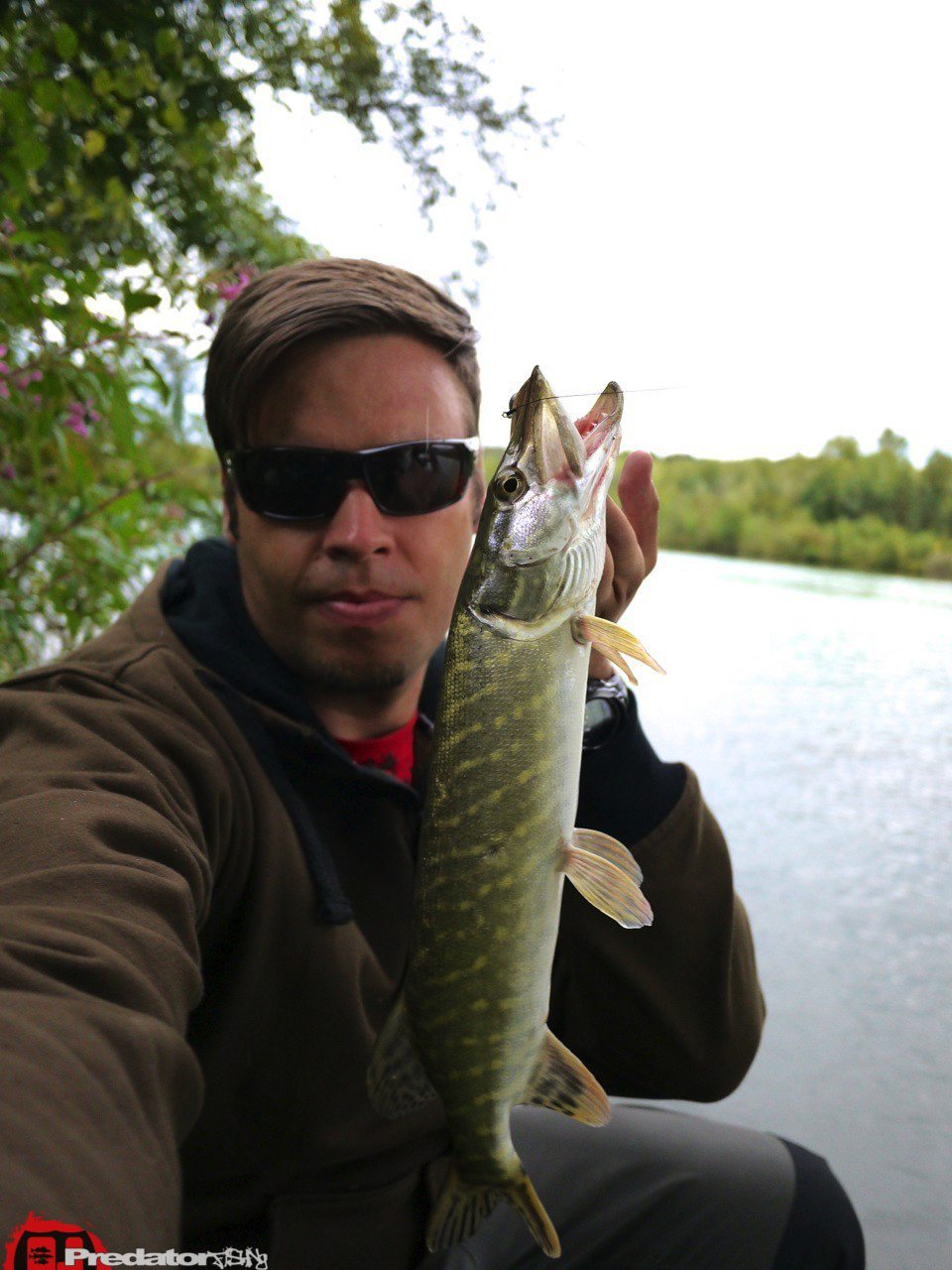Neues Revier, am Völkermarkter Stausee auf Hecht