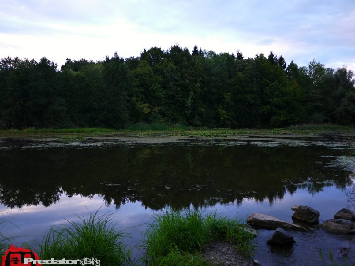 Neues Revier, am Völkermarkter Stausee auf Hecht