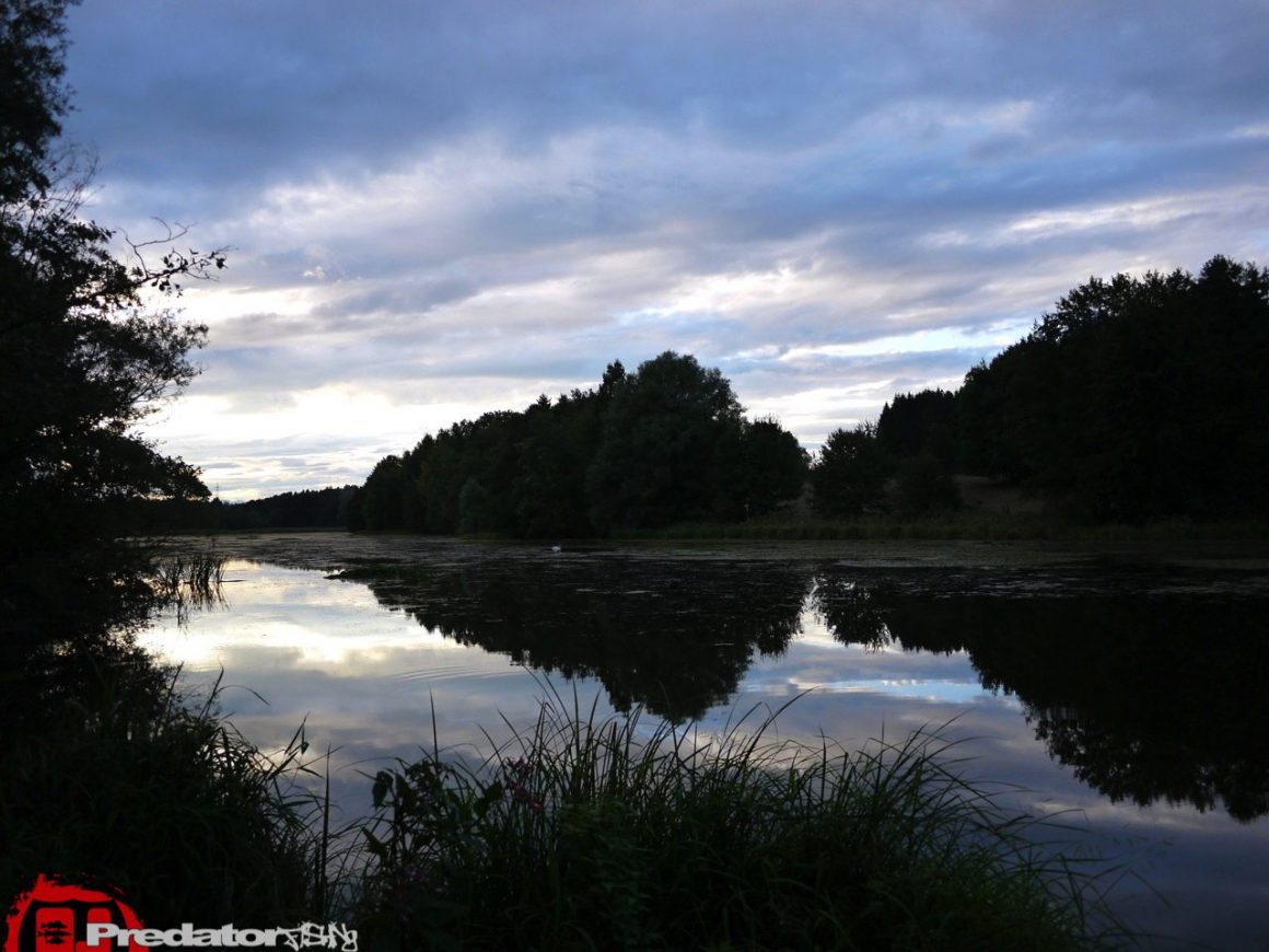 Neues Revier, am Völkermarkter Stausee auf Hecht