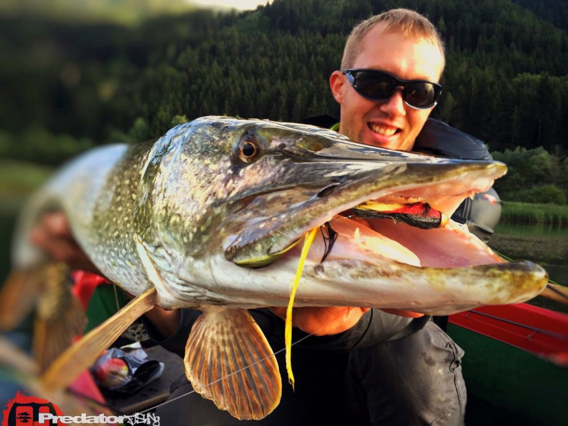 Optimale Wassertemperatur bei Hecht mit dem Streamer