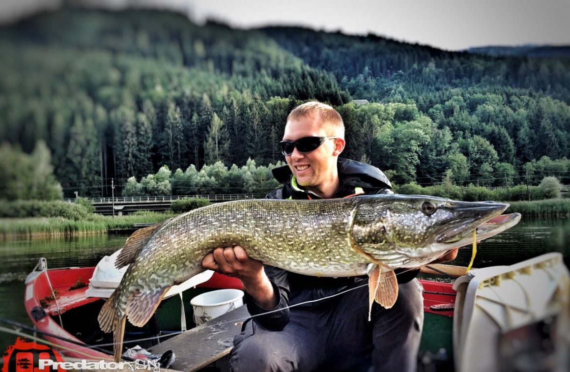 Optimale Wassertemperatur bei Hecht mit dem Streamer