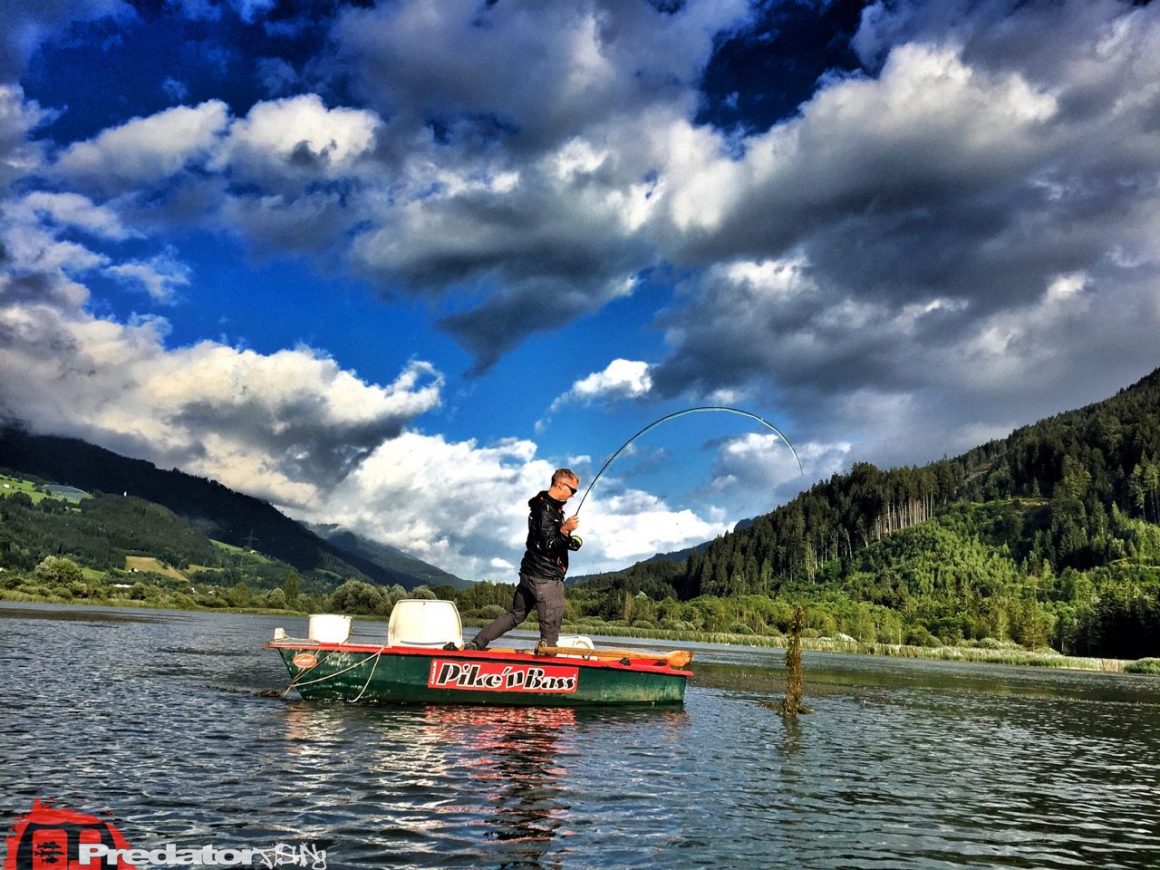Optimale Wassertemperatur bei Hecht mit dem Streamer