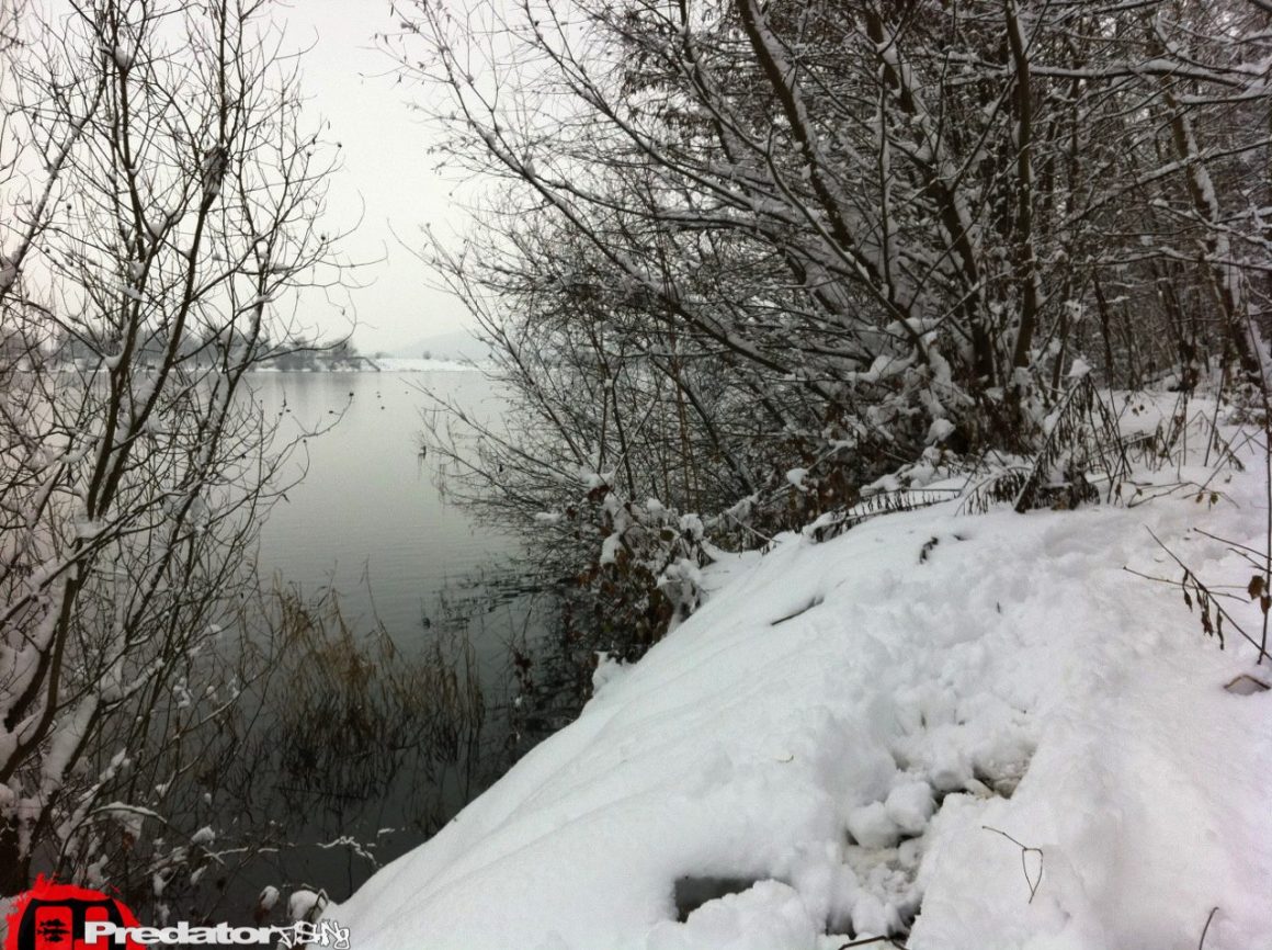 Pro Shads auf Hecht im Winter